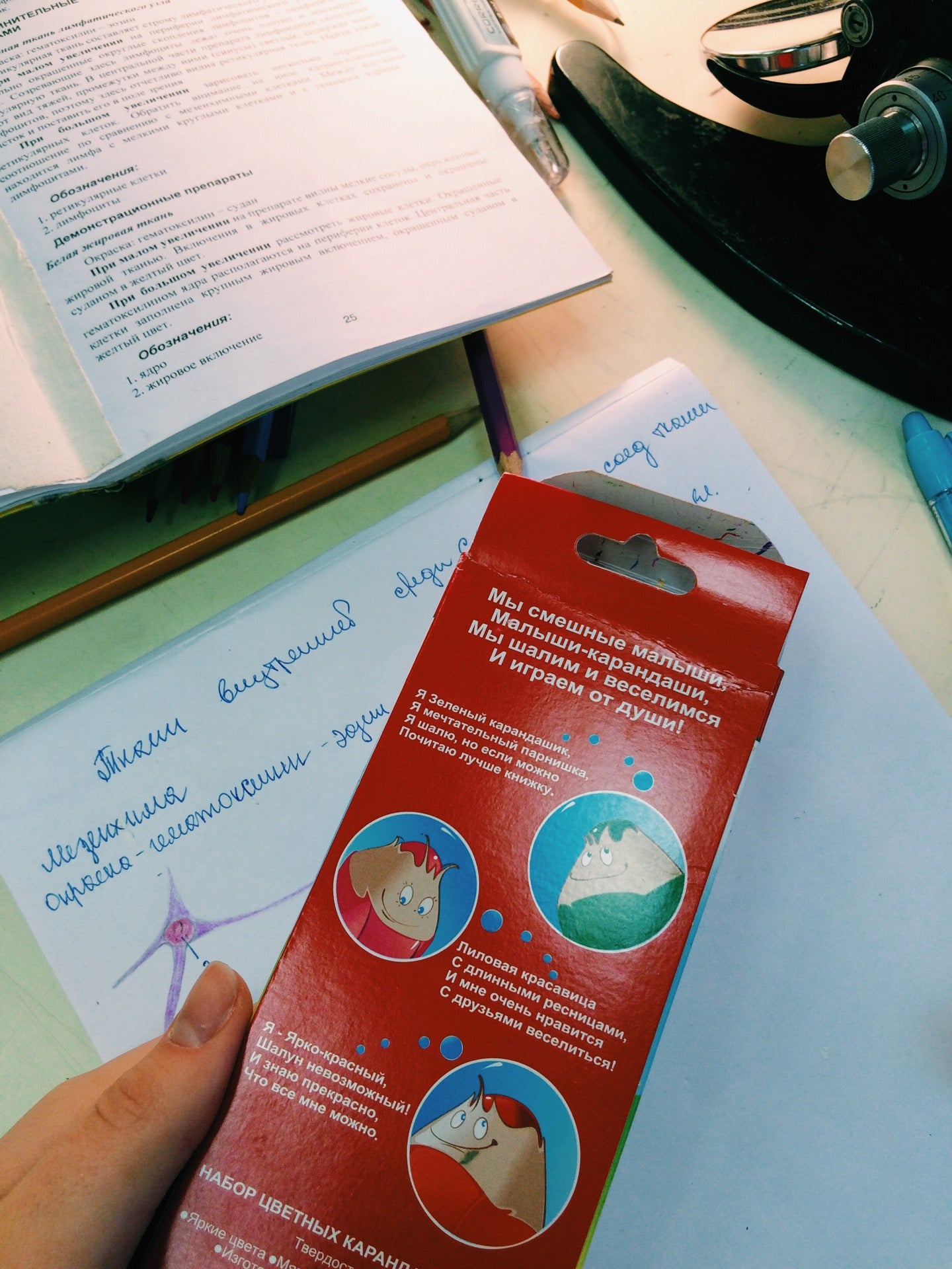 Кафедра гистологии чгу. Спбгпму кафедра гистологии. Кнорре гистология. Кафедра анатомии спбгпму. Спбгпму кафедра гистологии.