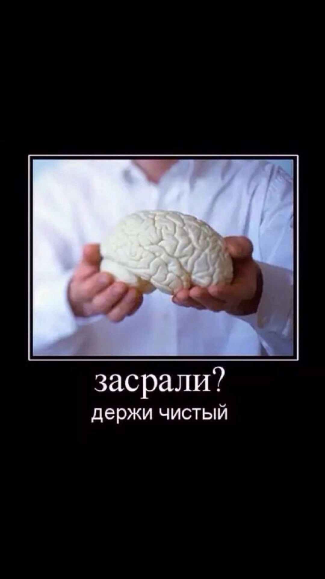 Мозг прикол