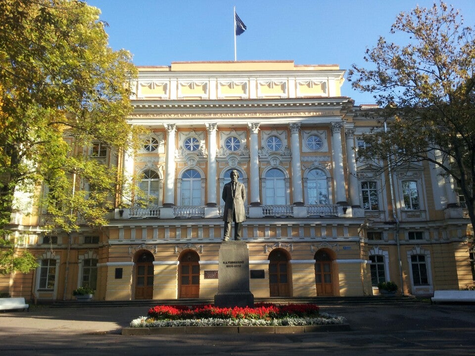 Институты санкт петербурга. Дворец графа Разумовского в Санкт-Петербурге. Ленинградский педагогический институт им Герцена. Дворец Разумовского СПБ. Университет им. а. и. Герцена (дворец Разумовского) внутри.