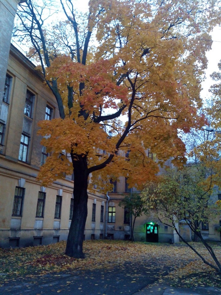 Спбгпму кафедра анатомии. Кафедра анатомии СПБГПМУ. Кафедра патологической анатомии СПБГПМУ. Кафедра патанатомии СПБГПМУ. СПБГПМУ Кафедра анатомии человека.