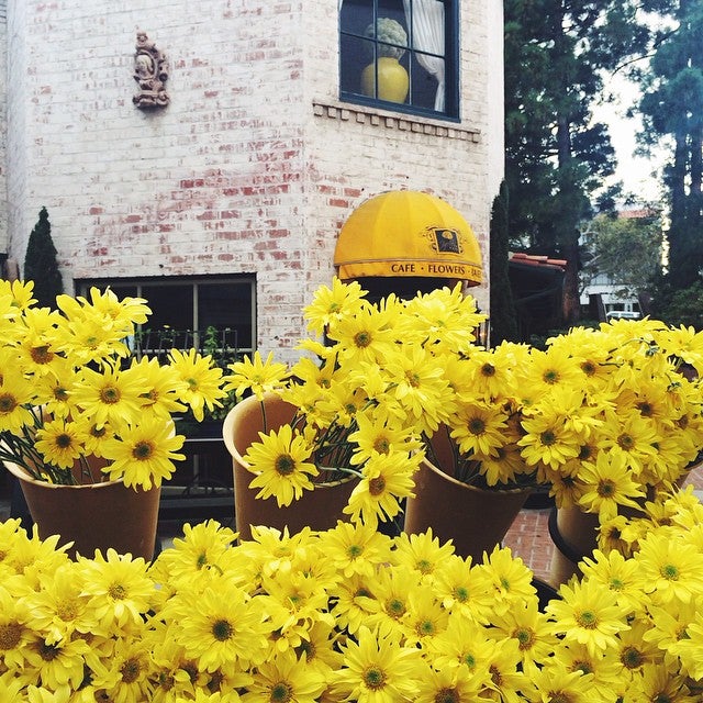 Flower Cafe Redondo Beach Best Flower Site