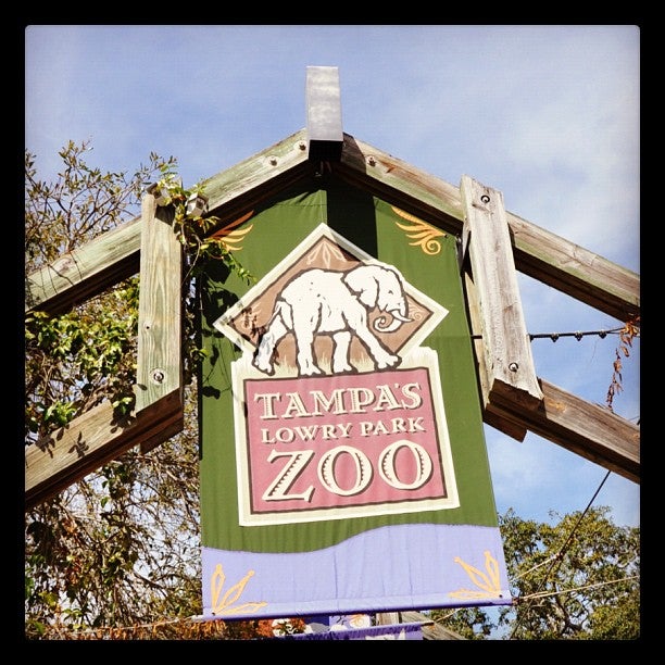 Tampa's Lowry Park Zoo in Tampa - Parent Reviews on Winnie