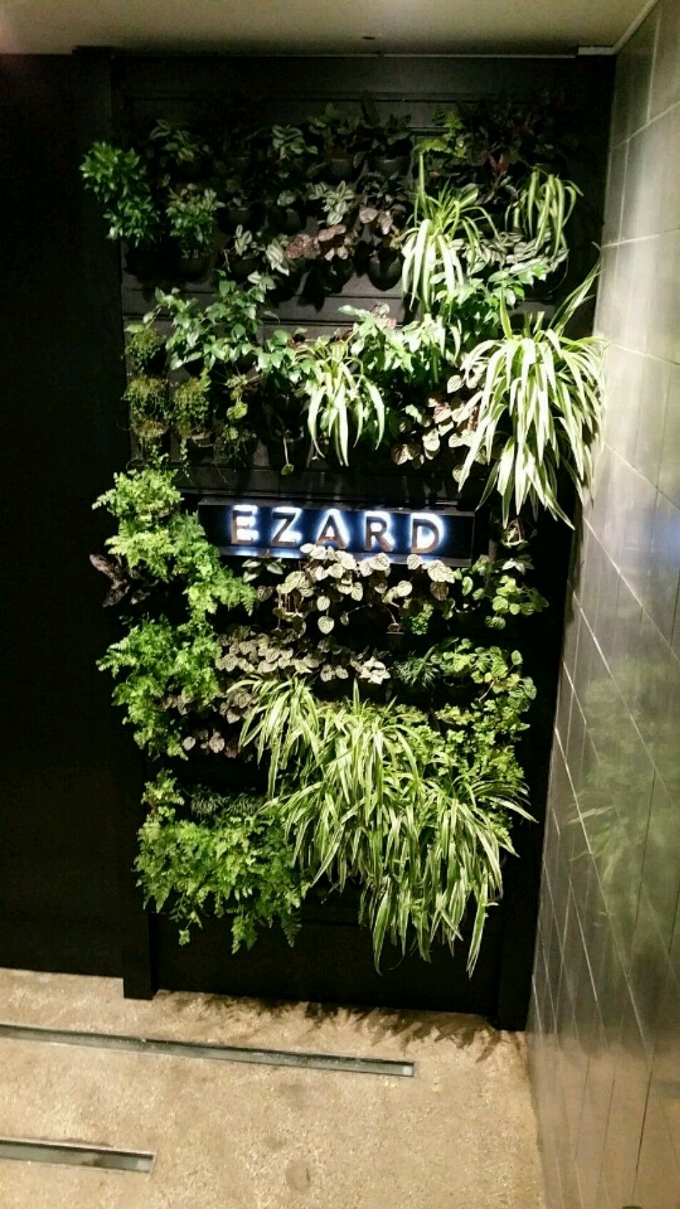 Photo of Ezard