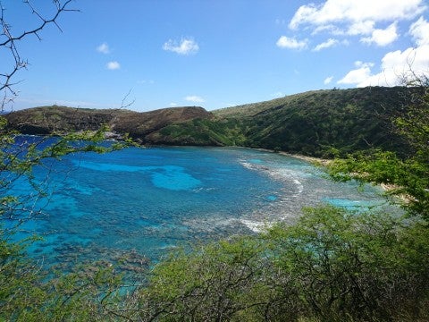 Photo of Hanauma Bay Nature Preserve