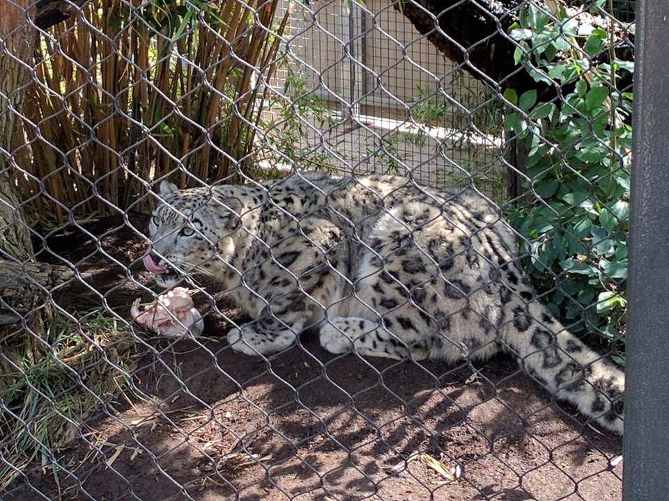 Photo of San Diego Zoo