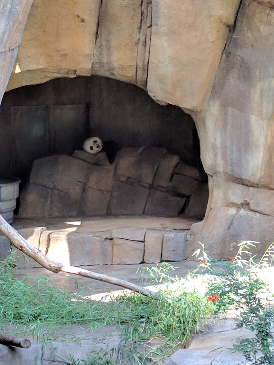 Photo of San Diego Zoo