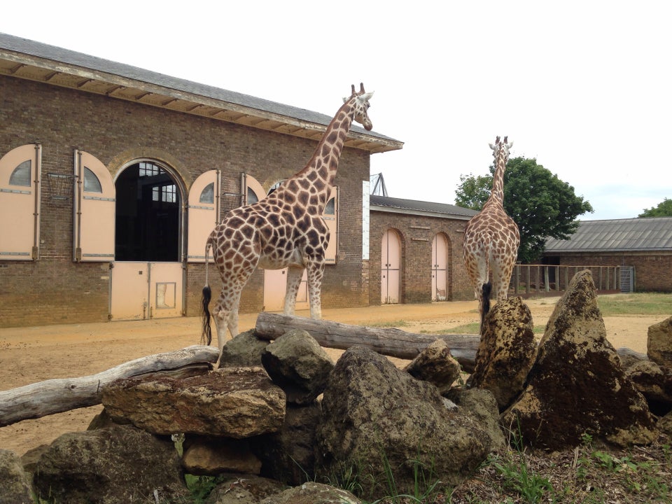 Photo of ZSL London Zoo