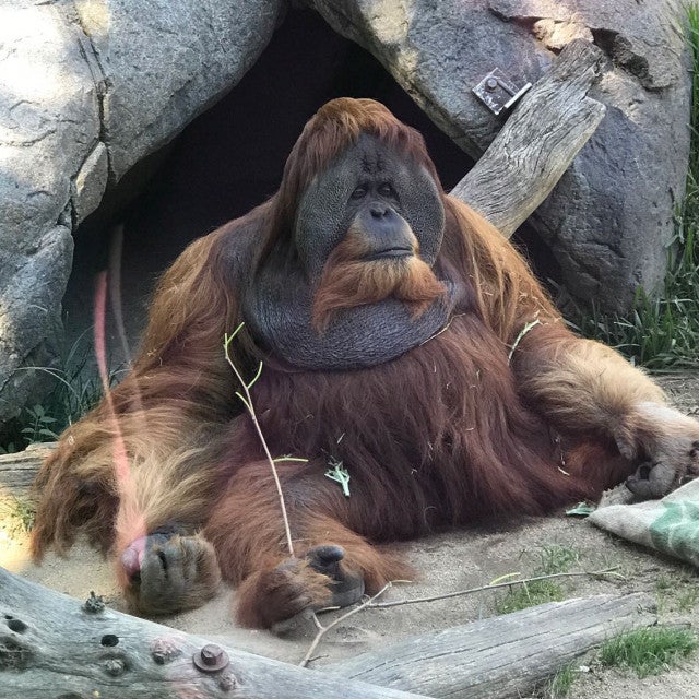 Photo of San Diego Zoo