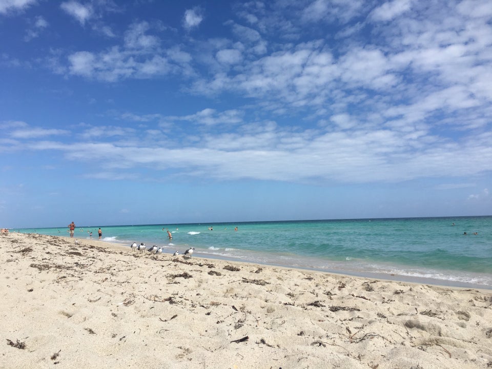 12th Street Beach Photos - GayCities Miami