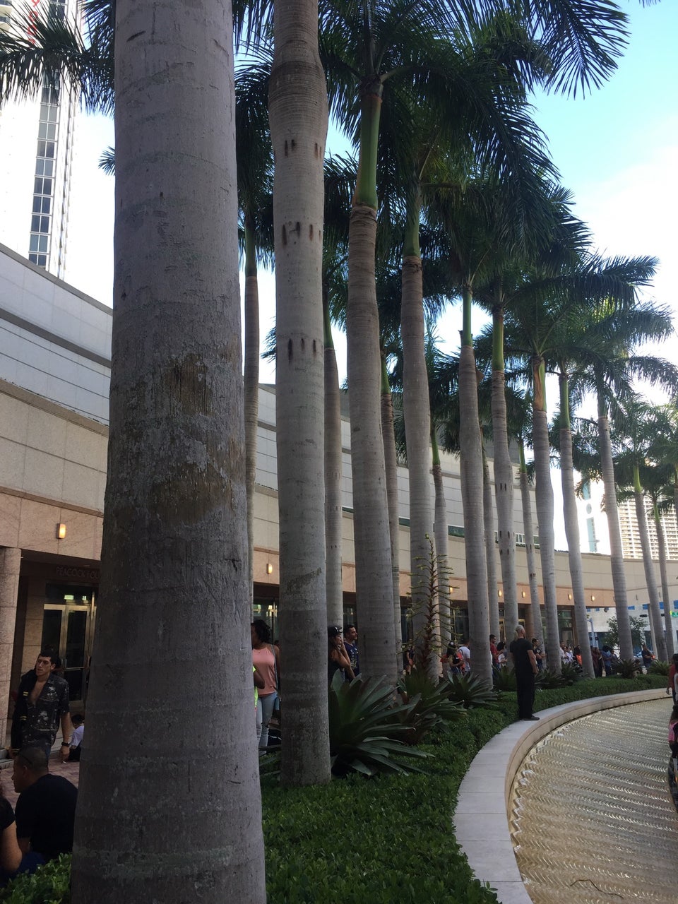 Photo of Adrienne Arsht Center for the Performing Arts