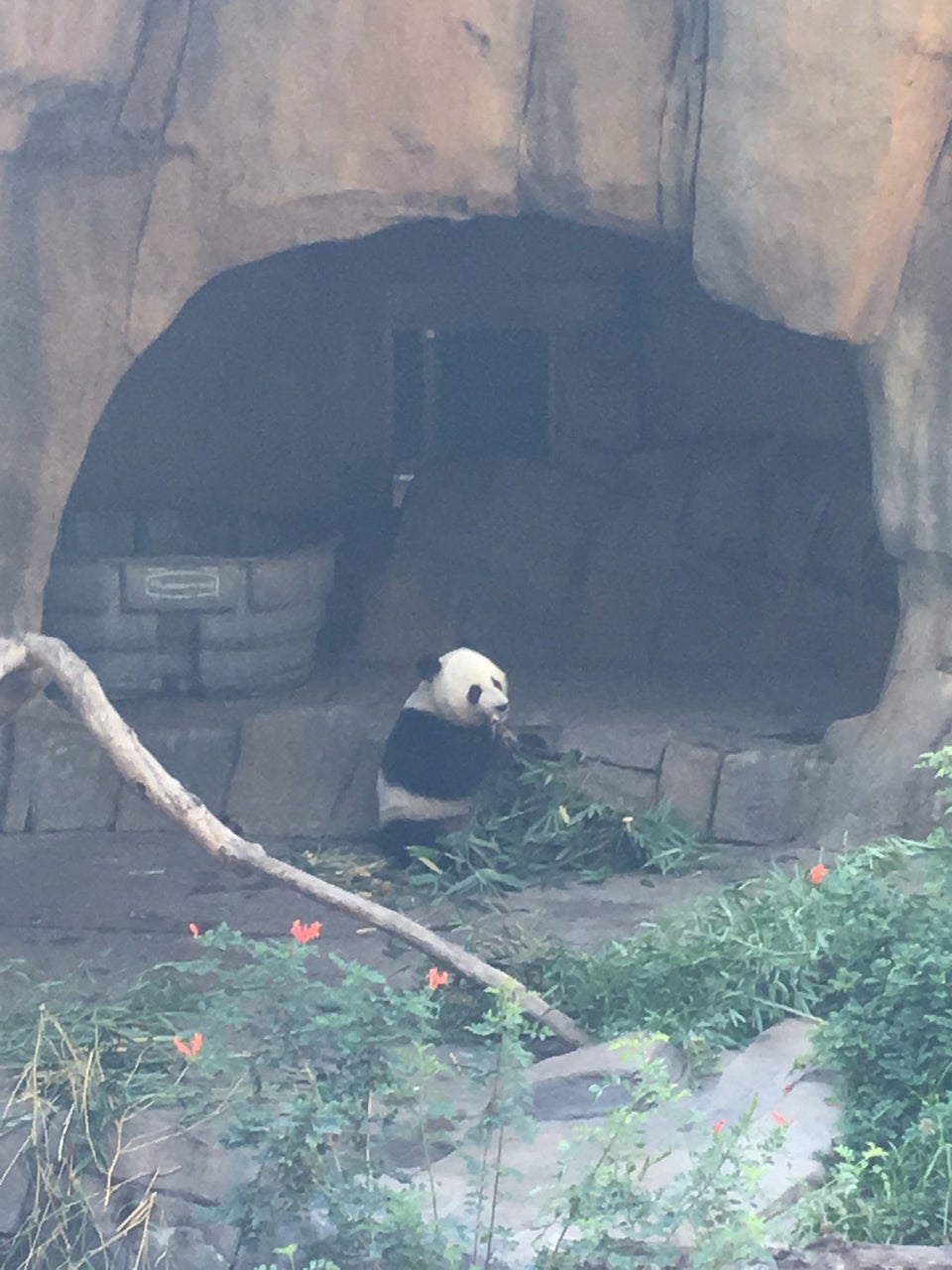 Photo of San Diego Zoo