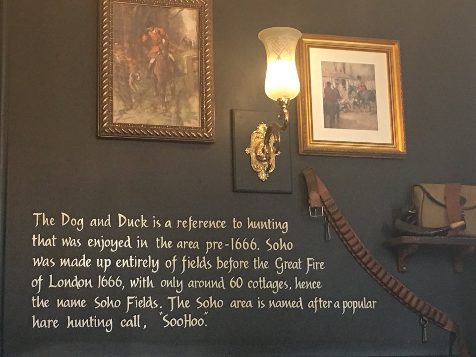 Photo of The Dog and Duck