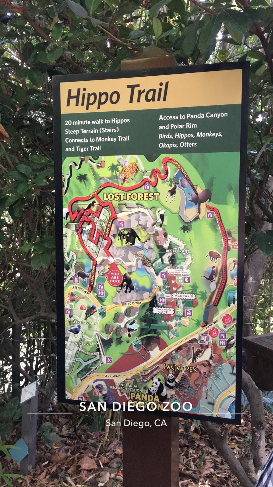 Photo of San Diego Zoo