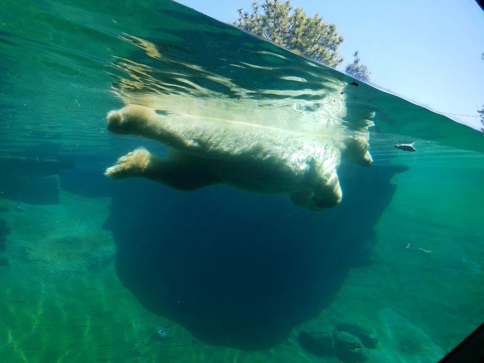 Photo of San Diego Zoo