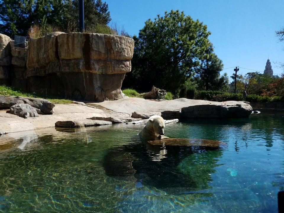 Photo of San Diego Zoo