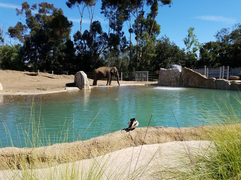 Photo of San Diego Zoo