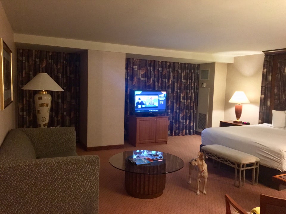 Photo of The Rio All-Suite Hotel & Casino