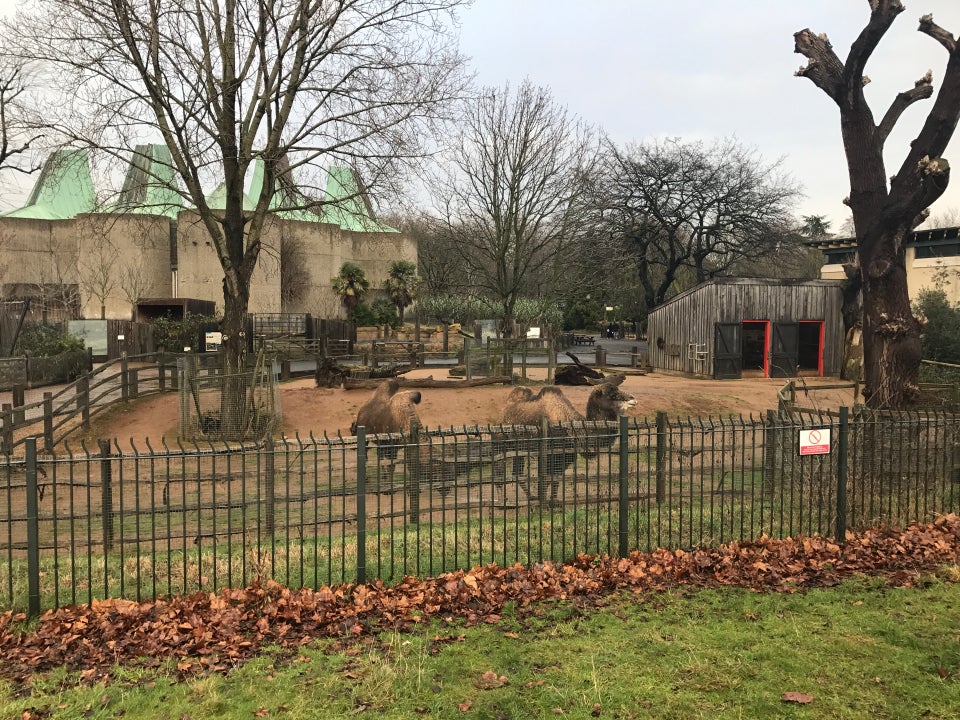 Photo of ZSL London Zoo