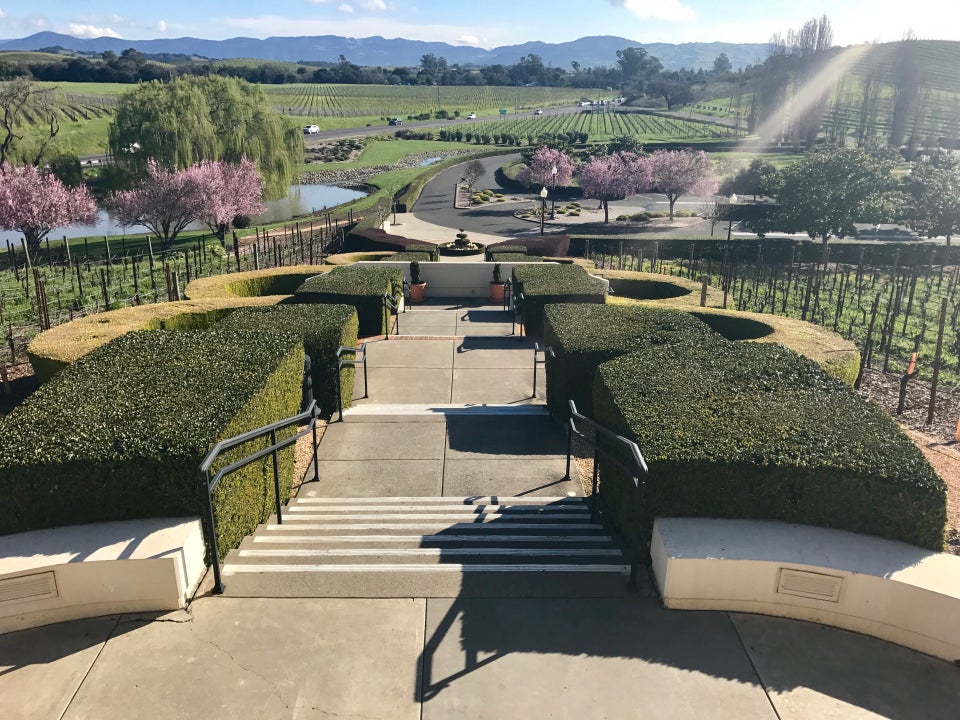 Photo of Domaine Carneros