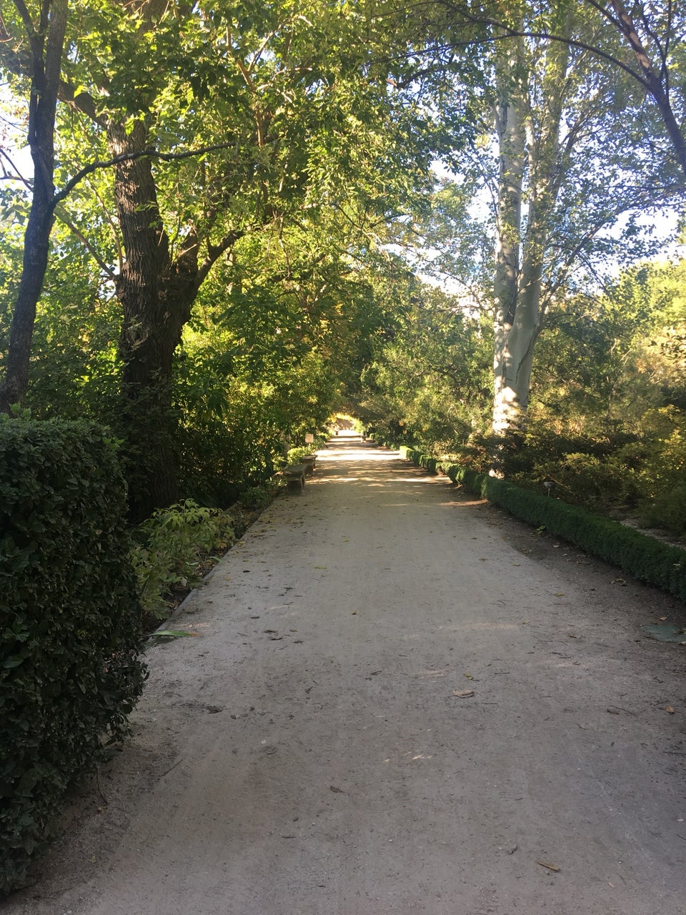 Photo of Real Jardin Botnico de Madrid