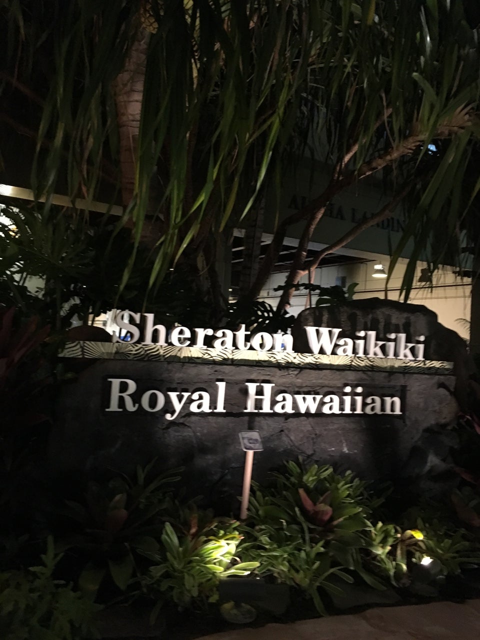 Photo of Sheraton Waikiki