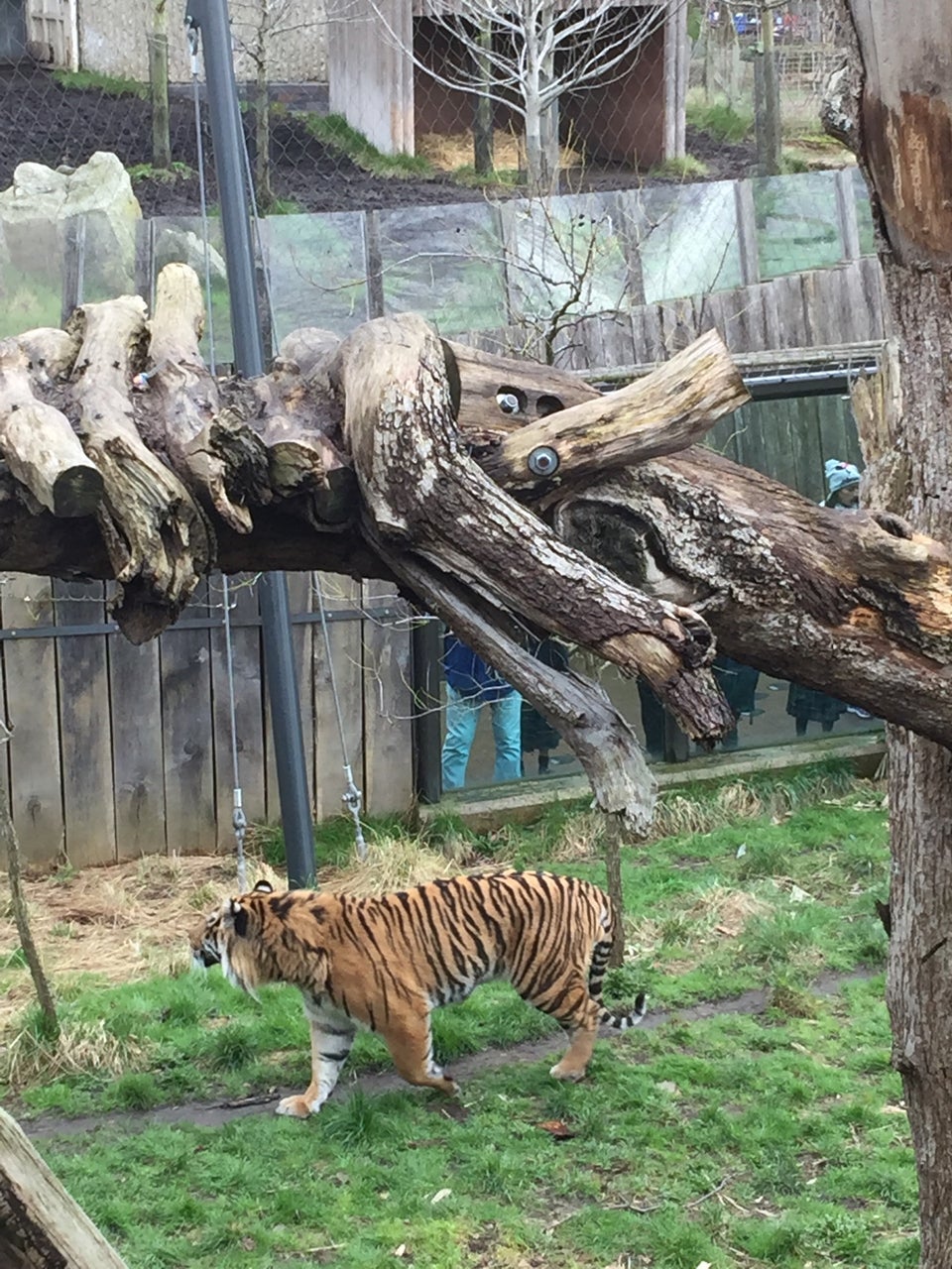 Photo of ZSL London Zoo