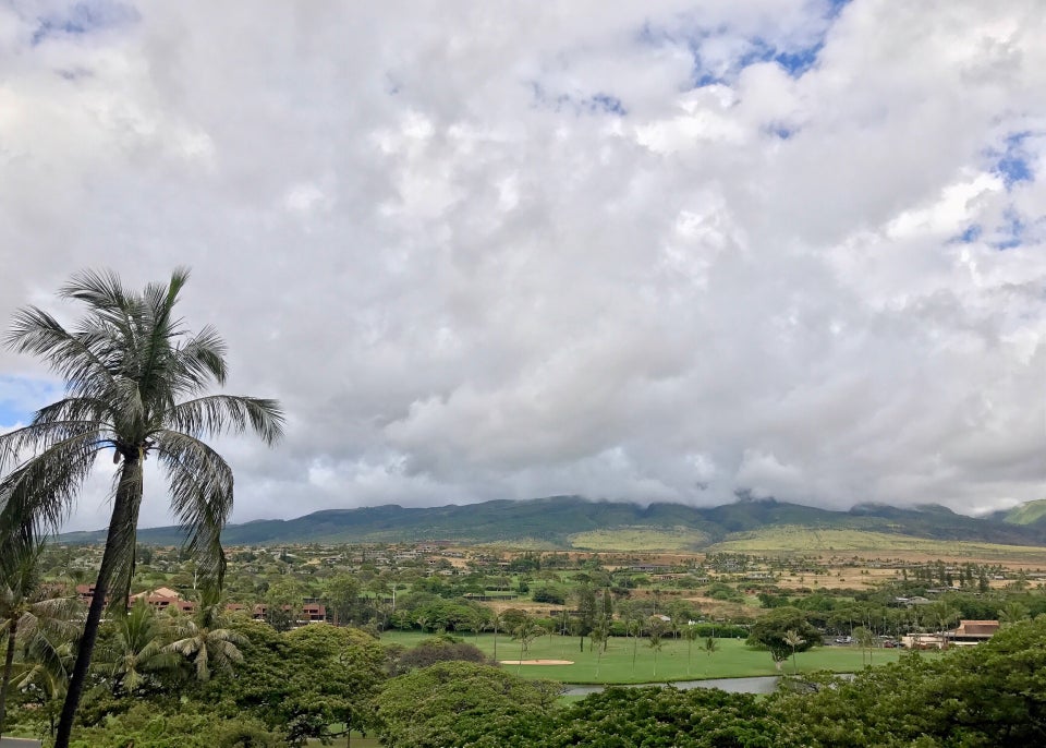 Photo of The Westin Maui Resort & Spa, Ka'anapali