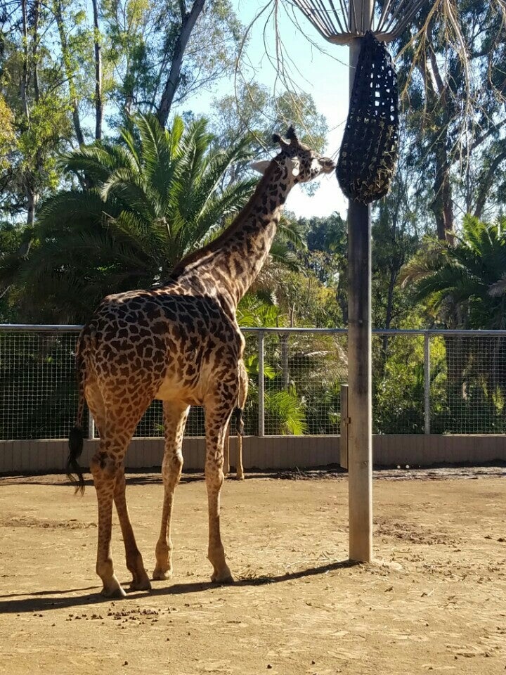 Photo of San Diego Zoo