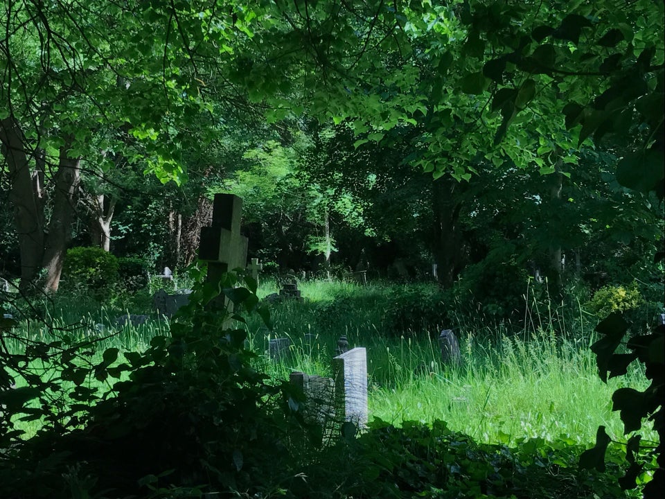 Photo of Highgate Cemetery