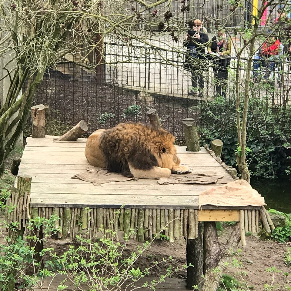 Photo of ZSL London Zoo