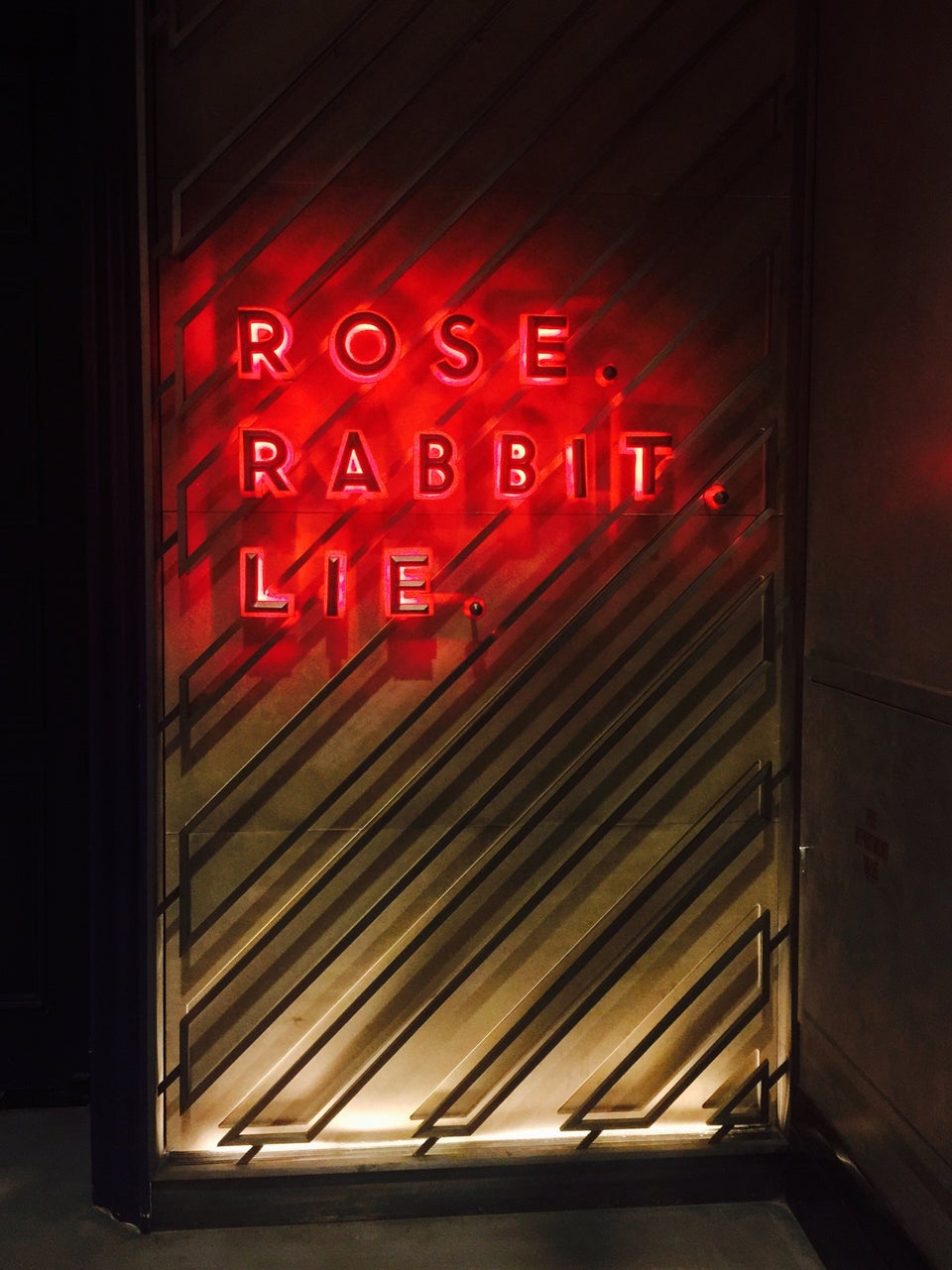 Photo of Rose. Rabbit. Lie.