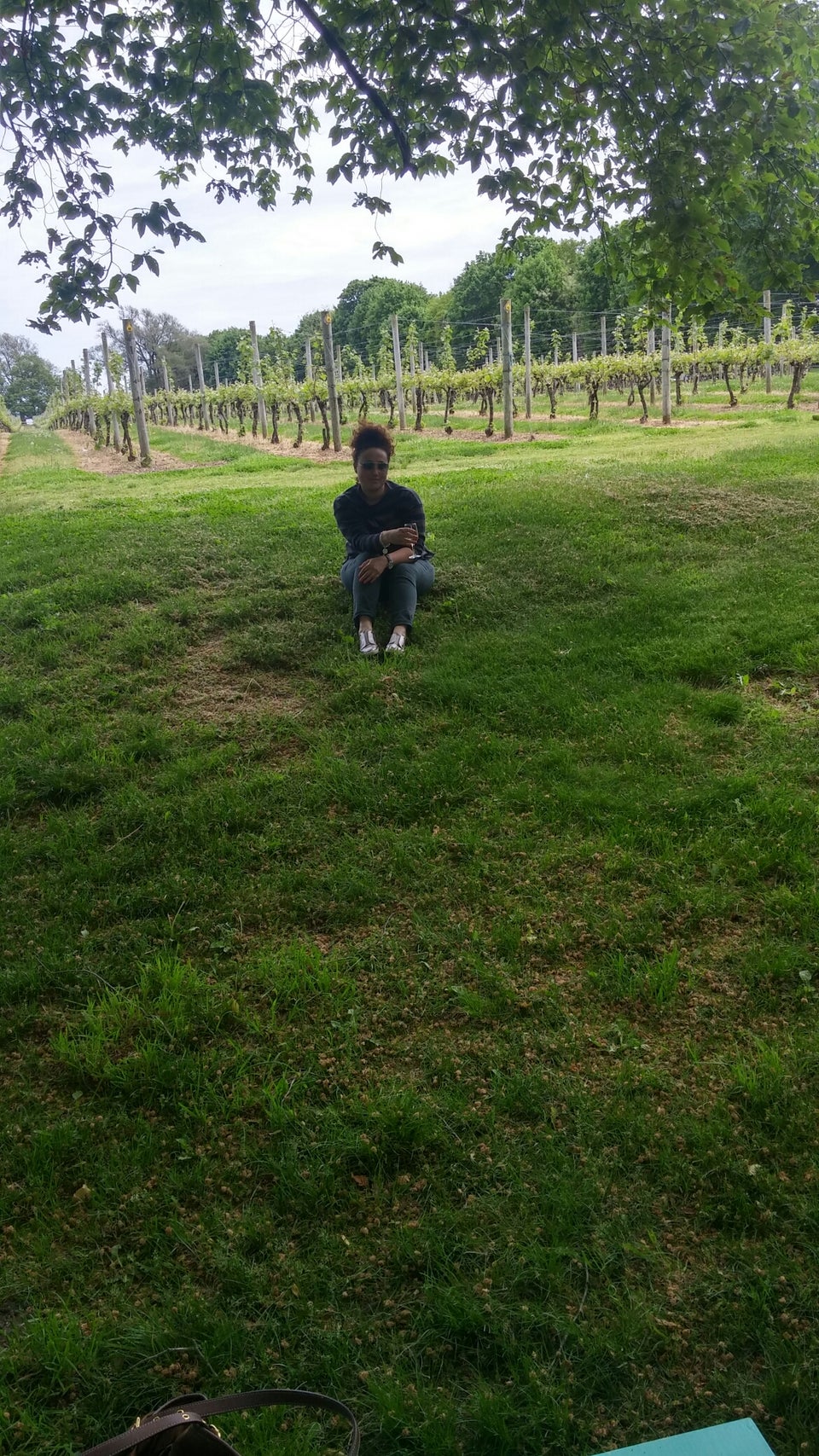 Photo of The Old Field Vineyards