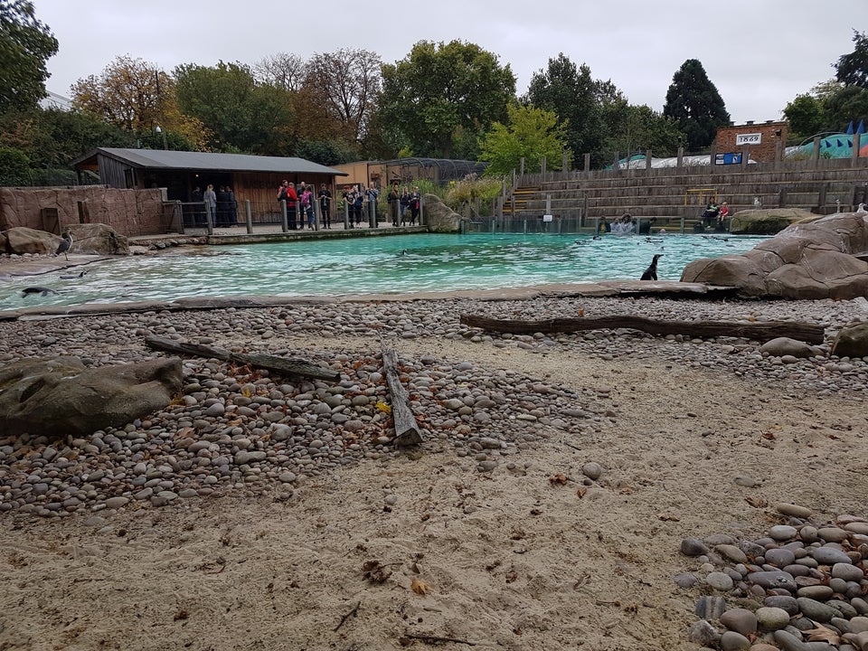 Photo of ZSL London Zoo
