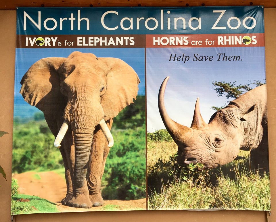 Photo of North Carolina Zoo