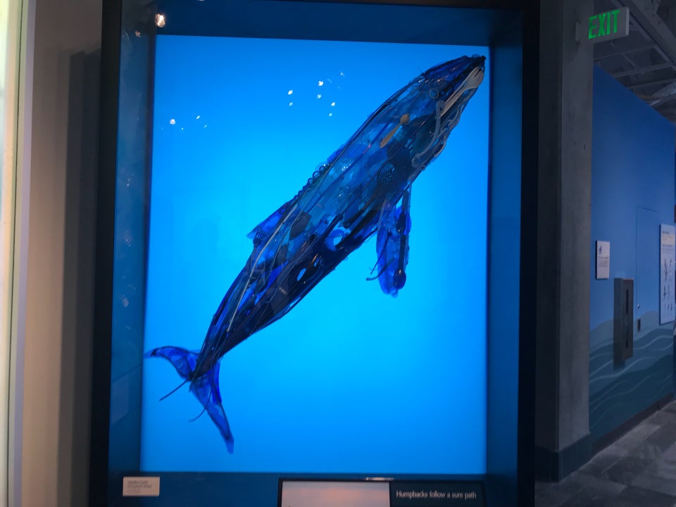 Photo of Monterey Bay Aquarium