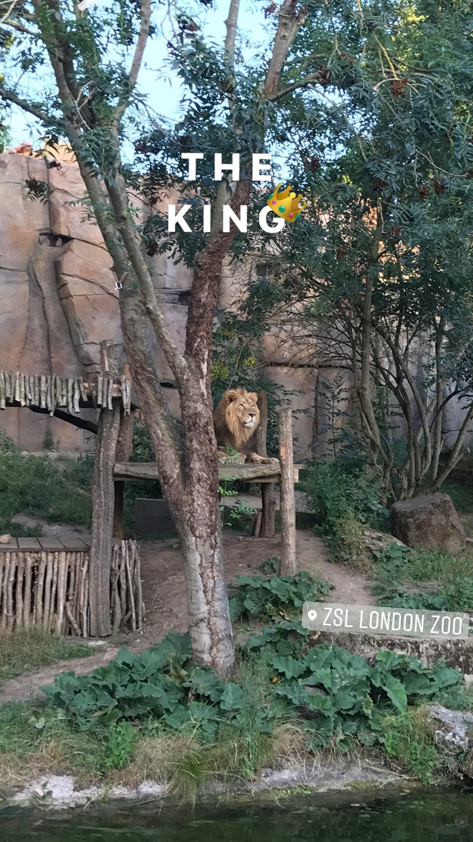 Photo of ZSL London Zoo