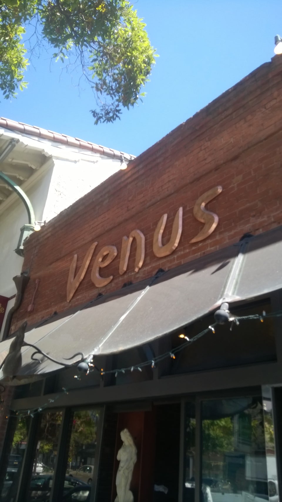 Photo of Venus Restaurant