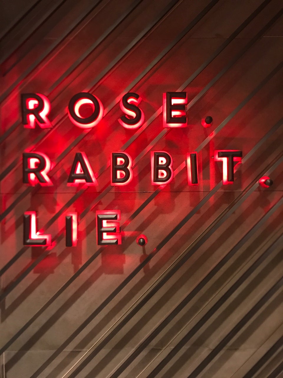 Photo of Rose. Rabbit. Lie.