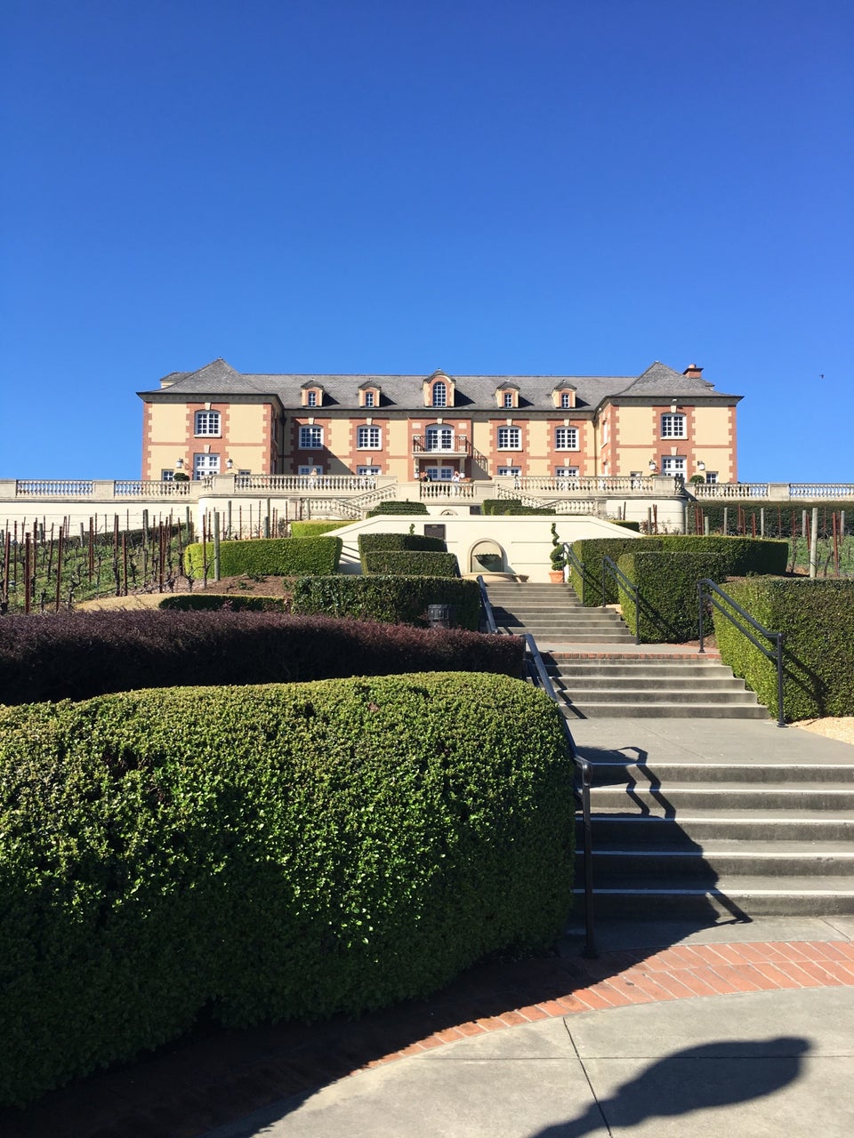 Photo of Domaine Carneros