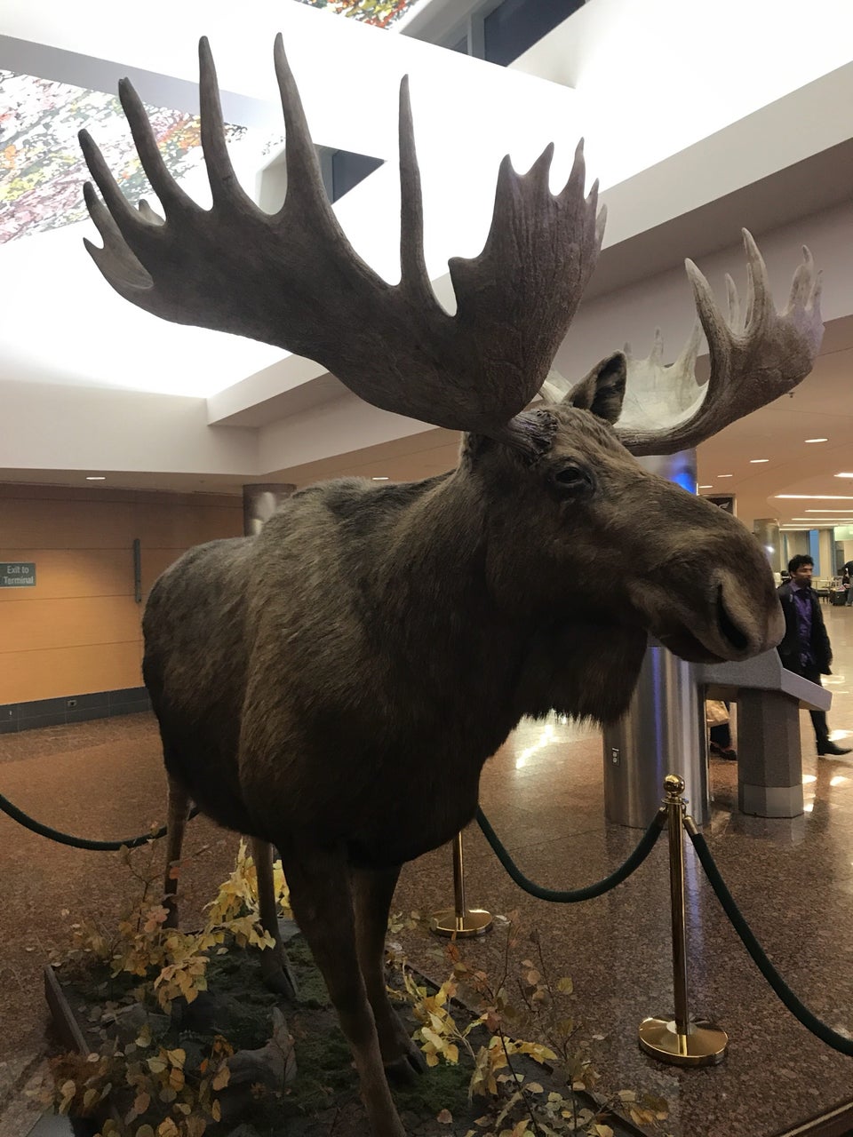 Photo of Anchorage International Airport