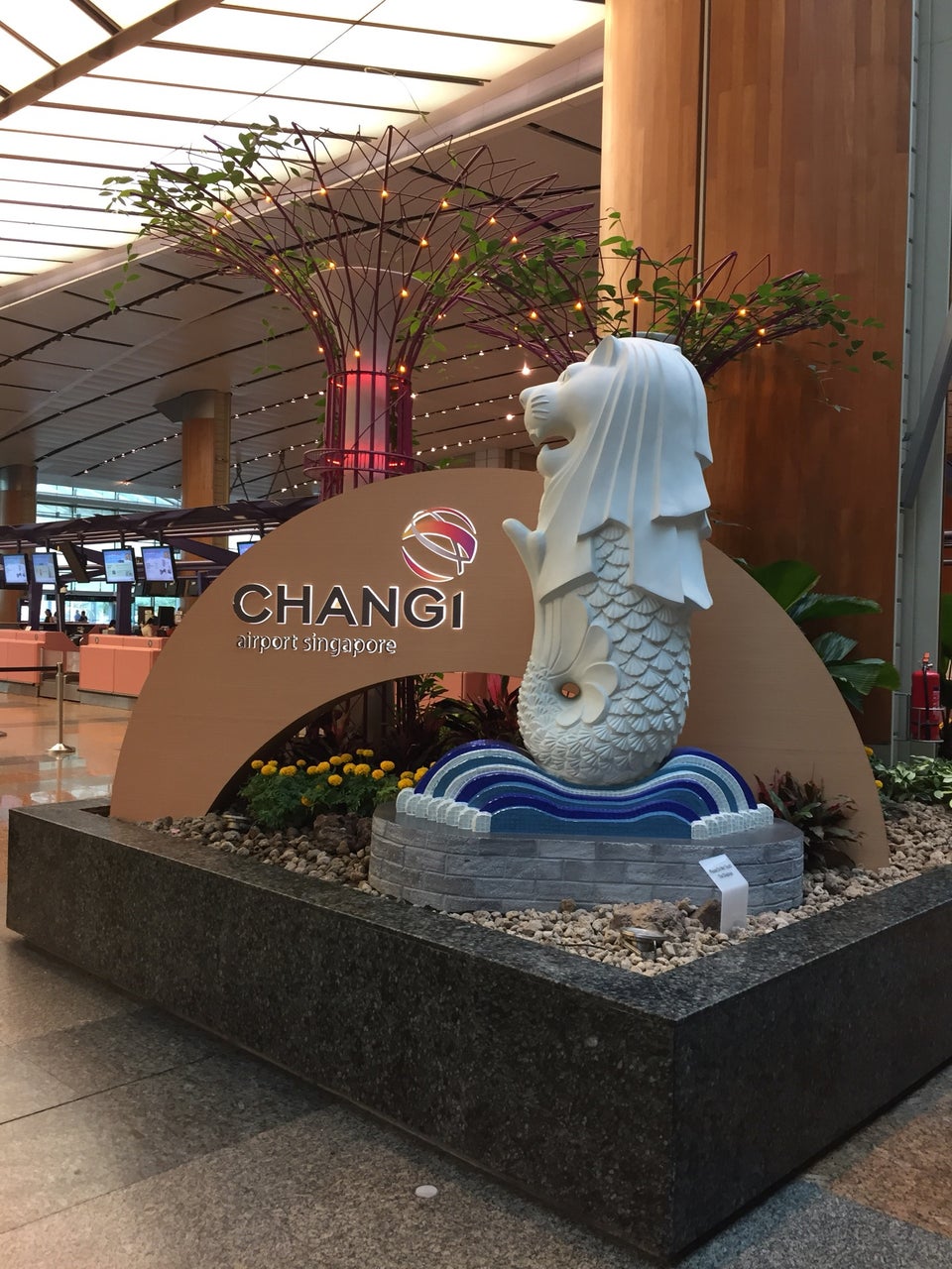 Photo of Changi Airport