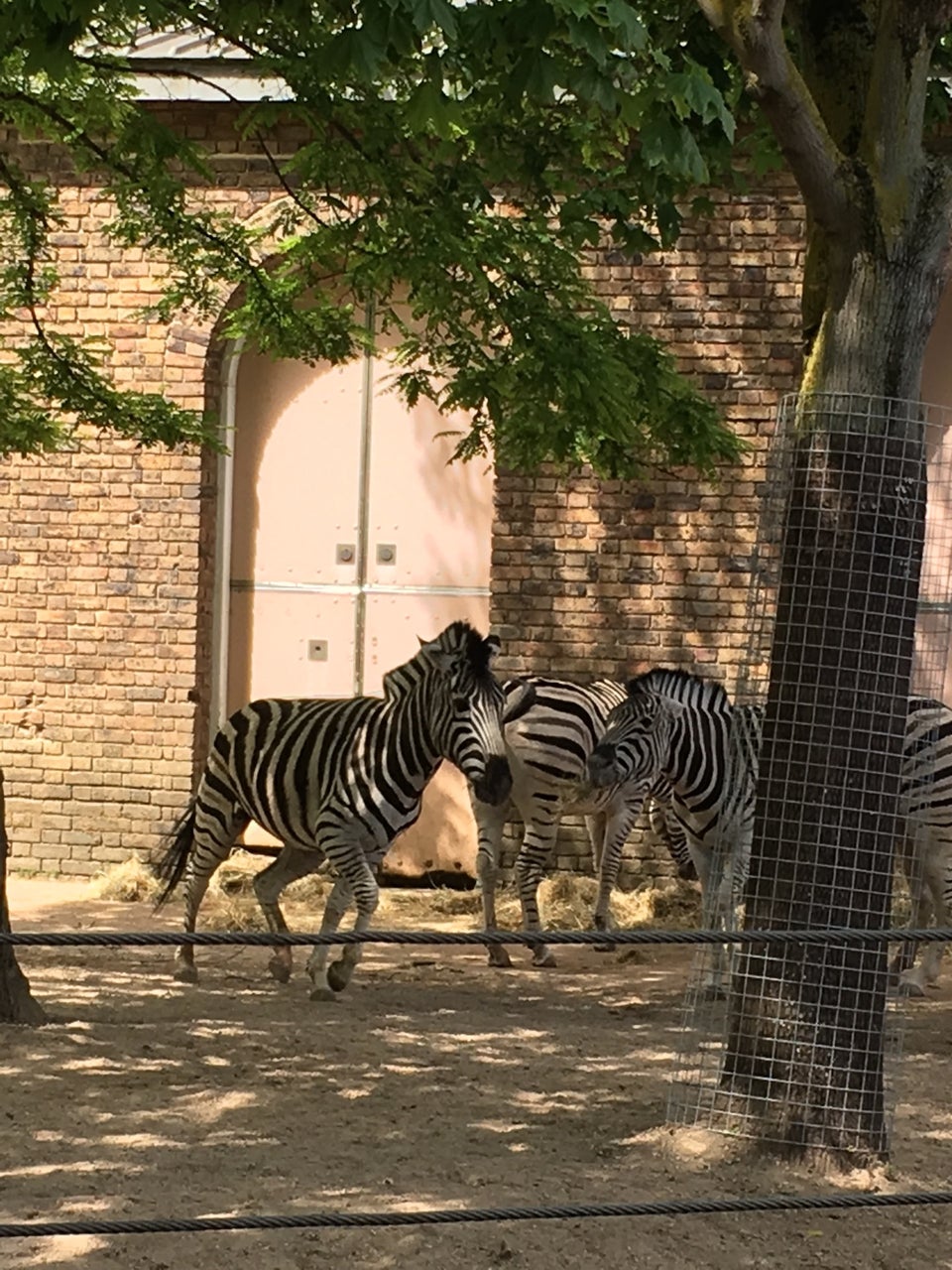 Photo of ZSL London Zoo