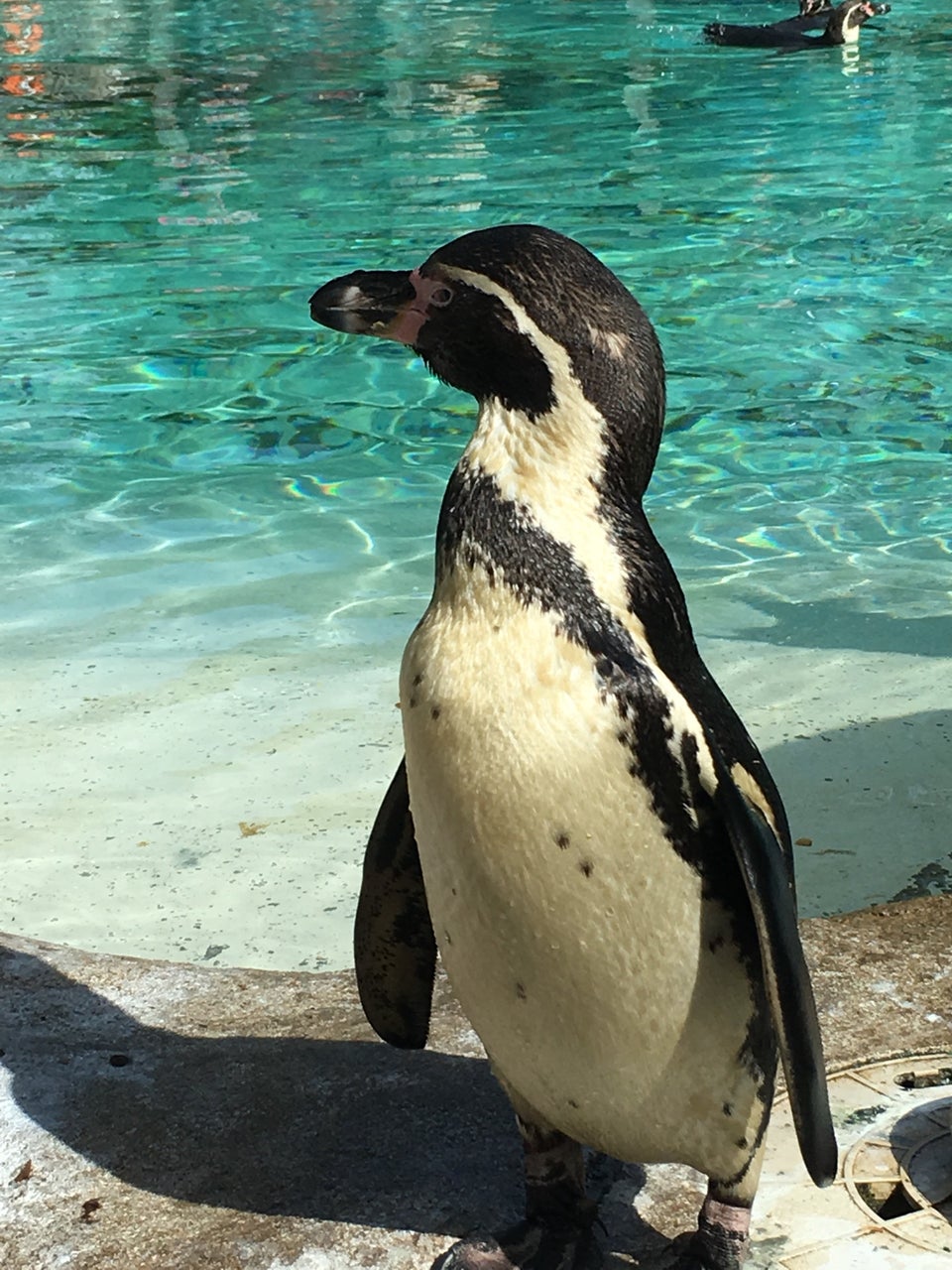 Photo of ZSL London Zoo