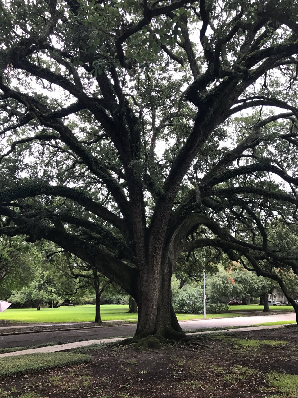 Photo of Menil Collection