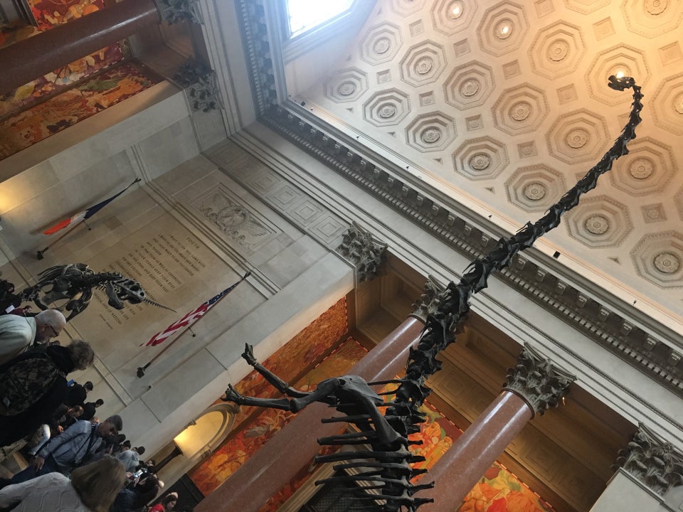 Photo of American Museum of Natural History