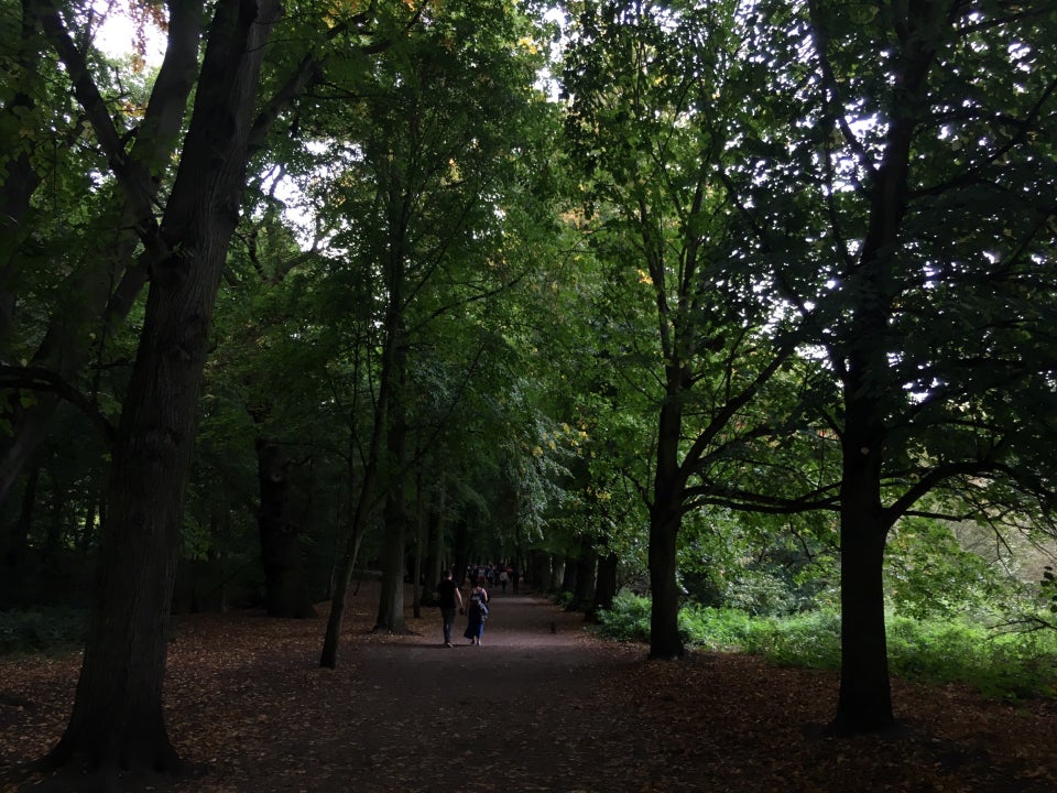 Photo of Hampstead Heath