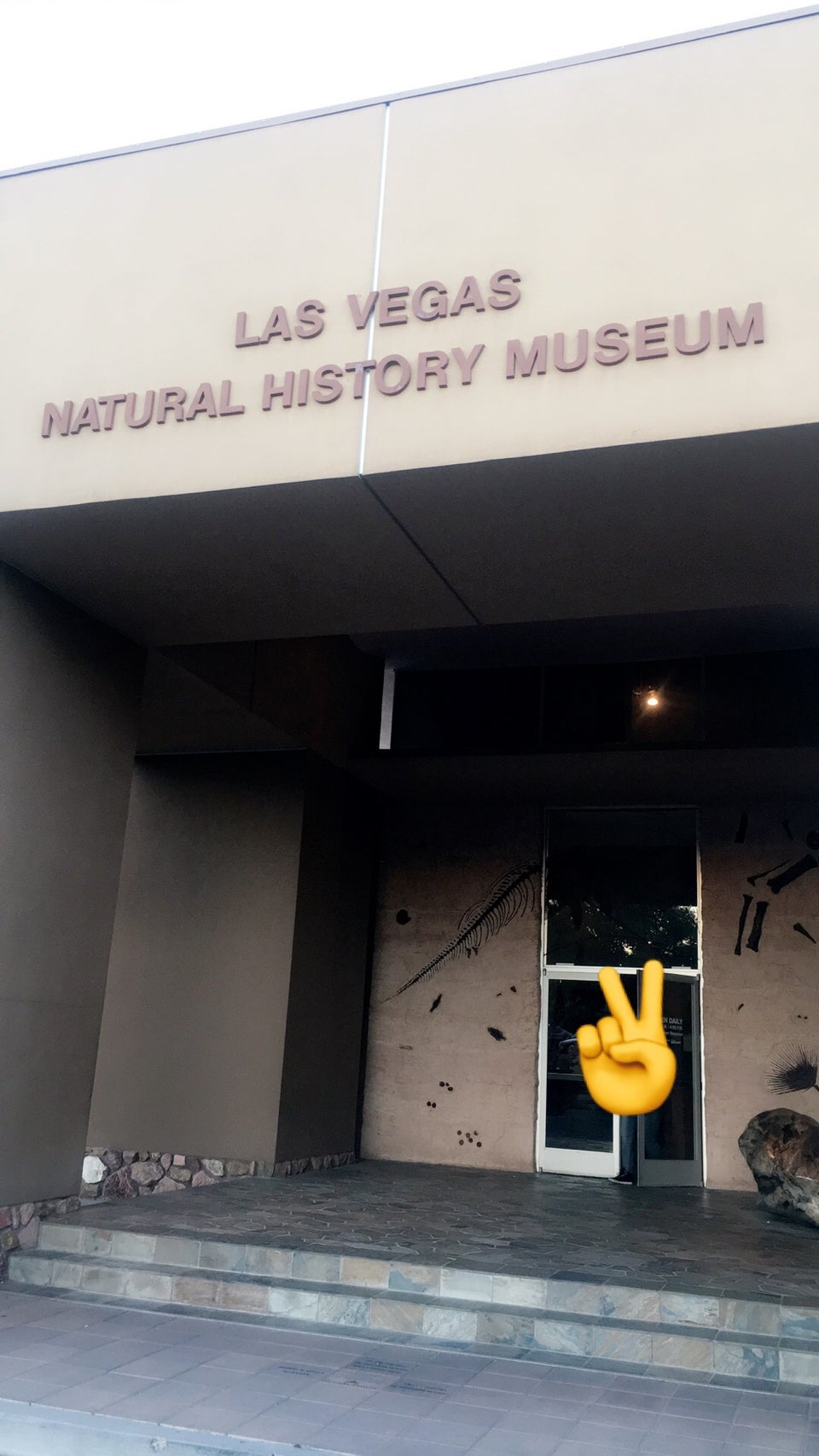 Photo of Las Vegas Natural History Museum