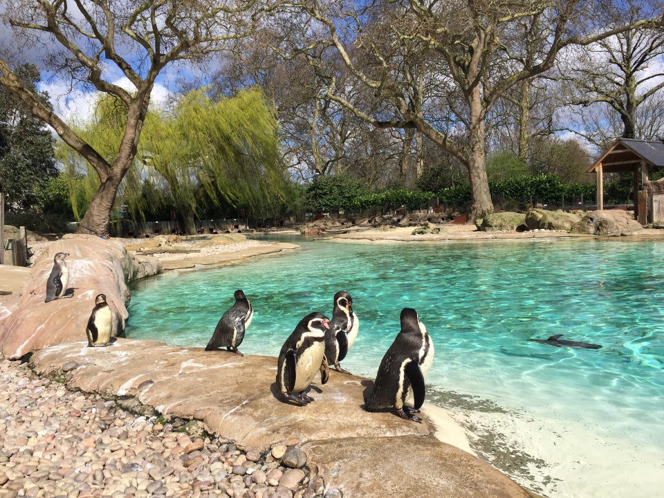 Photo of ZSL London Zoo