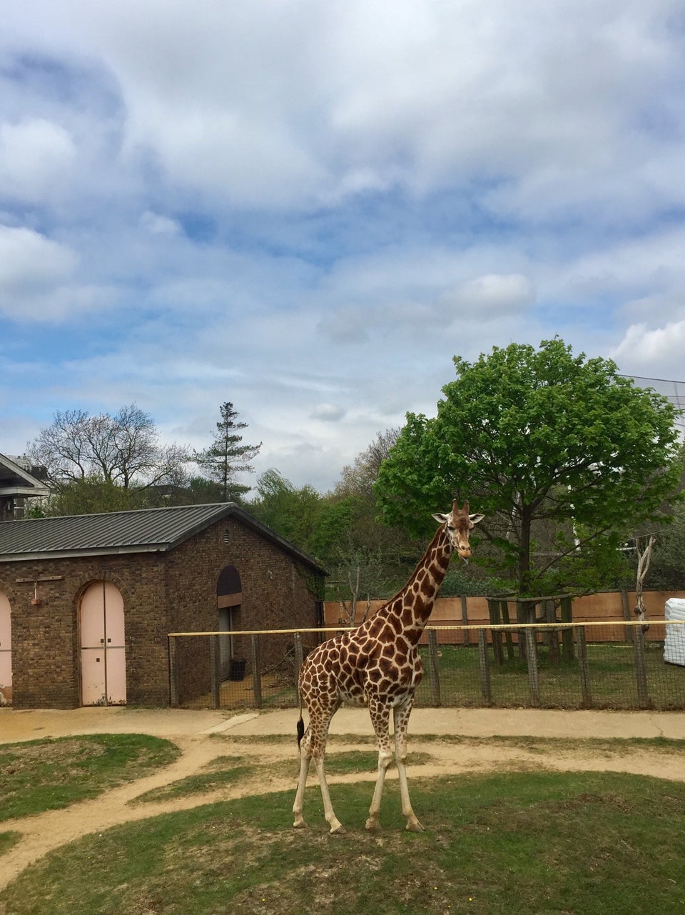 Photo of ZSL London Zoo