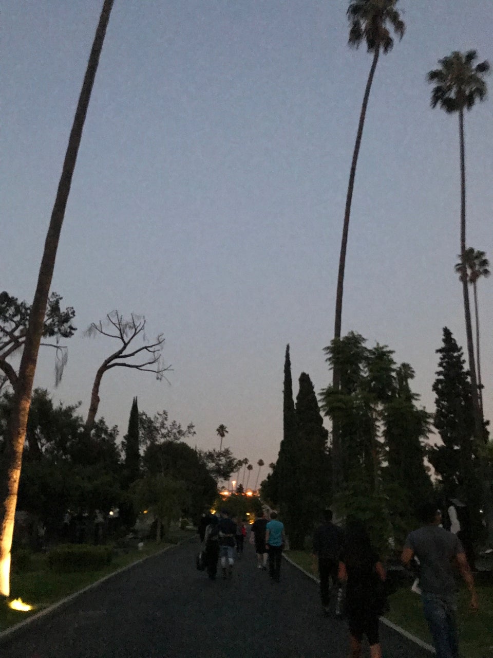 Photo of Hollywood Forever Cemetery